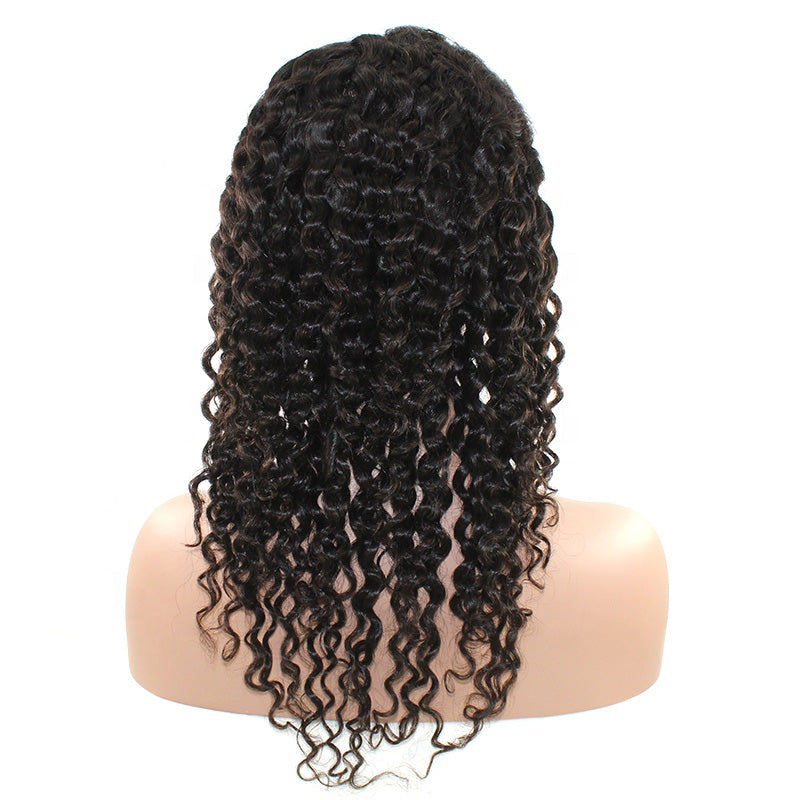 Lavish Curly Lace Front Wig